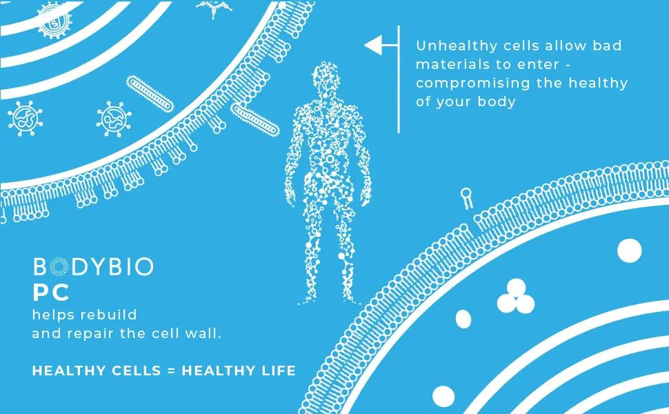 PC - Liposomal Phospholipid Complex, 16 fl oz (473 ml) -  BodyBio