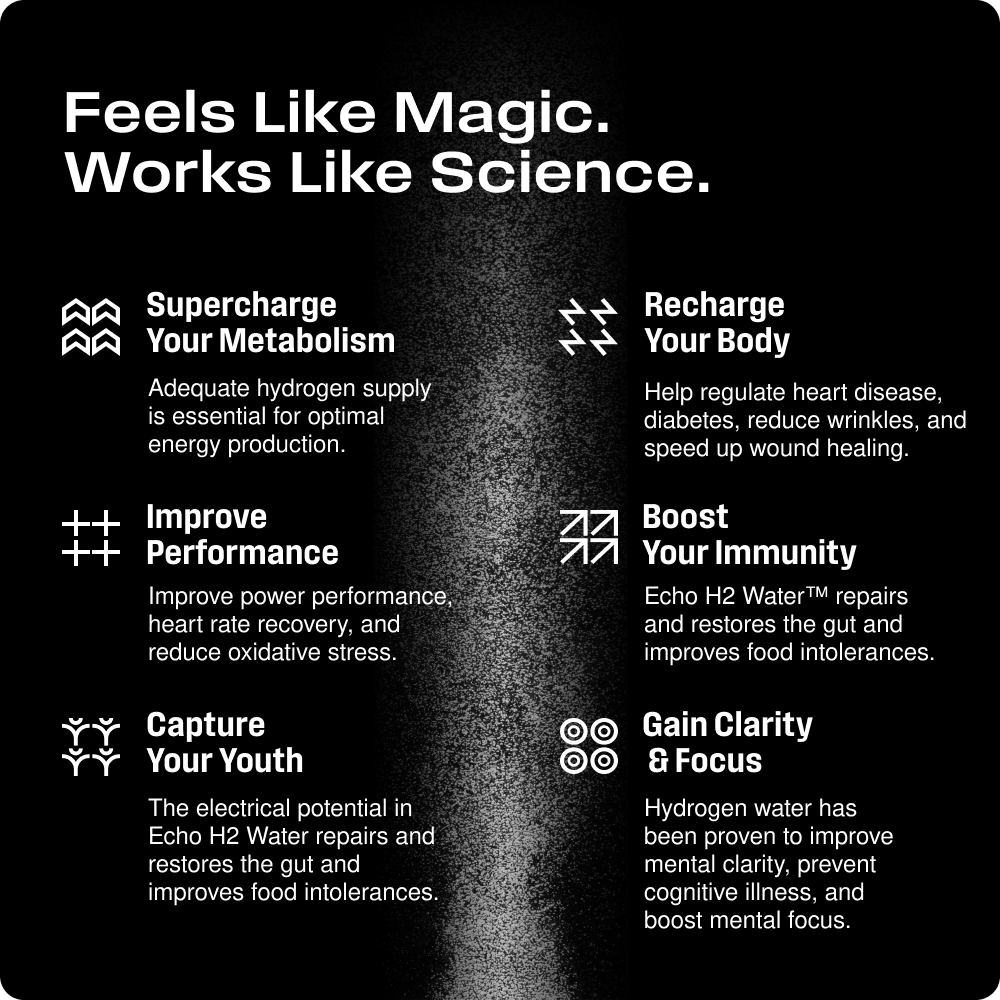 Echo Flask Hydrogen Water Bottle Echo Water